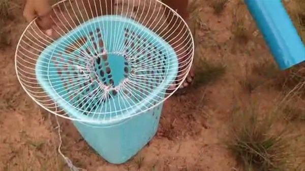 <p>Bu seferki teknikle bakın hangi hayvanı avladılar.</p>

<p>&nbsp;</p>
