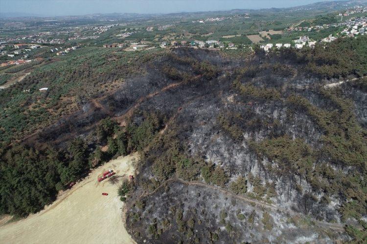 <p>Kontrol altına alınan yangının sabaha kadar devam eden soğutma çalışmaları bugün de sürdü. Bölgede yapılan incelemede, alevlerin birçok konutun bahçesine kadar geldiği ve süs bitkilerini yaktığı görüldü. Bursa Ormam Bölge Müdürü Yalçın Akın, yangının yol kenarına atılan sigara izmaritinin neden olduğunu söyledi. Alevlerin buradan ormanlık alana sıçradığını ifade eden Bölge Müdürü Akın şunları söyledi:</p>