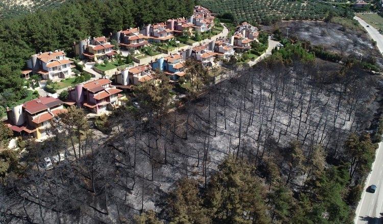 <p>Orman Bölge Müdürlüğü'ne ait araçlar ve itfaiye ekiplerinin müdahale ettiği yangın bu kez yolun karşı tarafında bulunan ormanlık alana sıçradı. Alevler kısa sürede Göynüklü'nün yanı sıra Çağrışan ve Bademli mahallelerinde etkili oldu.</p>
