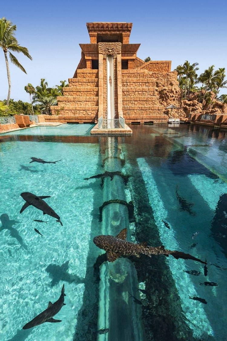 <p>Atlantis/Bahamalar </p>
