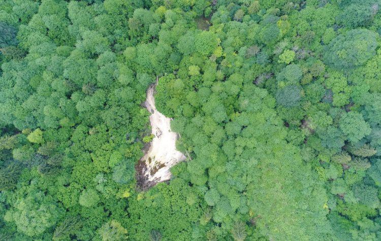 <p>Giresun'da şelaleleri, gölleri ve subasar ormanlarıyla dikkati çeken Kuzalan Tabiat Parkı, doğaseverleri cezbediyor.</p>
