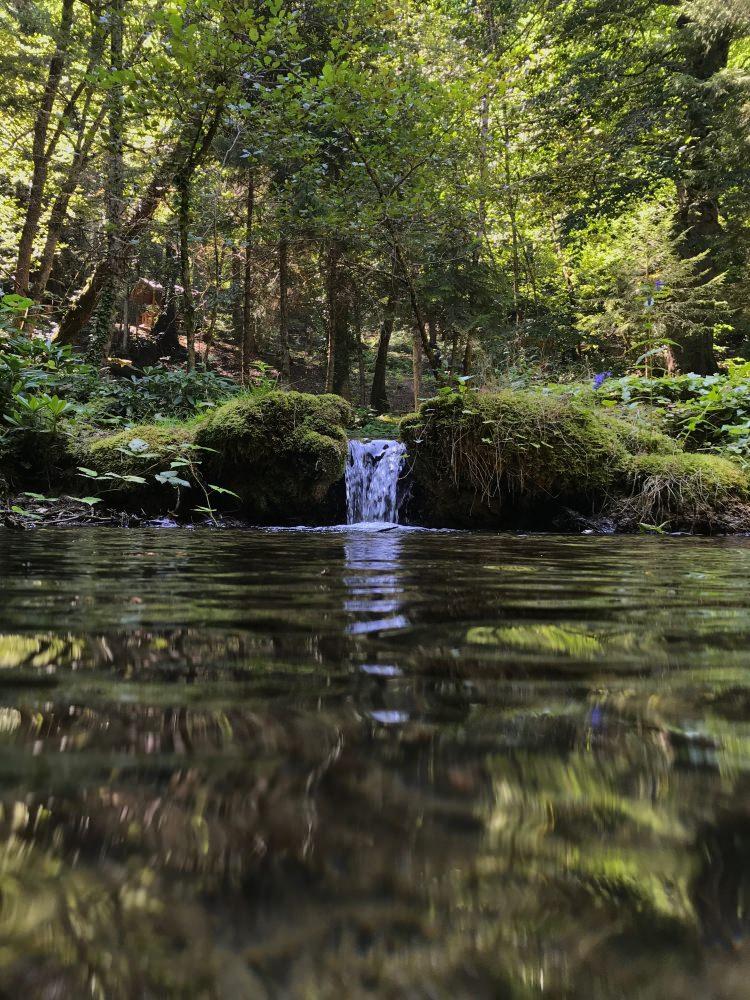 <p>Kuzalan Tabiat Parkı'nın, Karadeniz'in en çok ziyaretçi çeken parklarının başında geldiğini vurgulayan Yayla, "Son bir ayda yaklaşık 42 bin ziyaretçimiz oldu. Ziyaretçi çeşitliliğimiz çok, tur operatörleriyle çalışıyoruz. Çevre illerden günübirlik turların da tercih noktalarından biriyiz." dedi. Yayla, bölgede gelecek yıl aylık ziyaretçi sayısını 100 bine çıkarmayı hedeflediklerini bildirdi.</p>