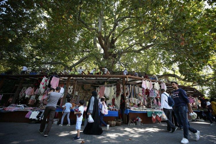 <p>Belçika'dan gelen Ahmet Çınar ise Bursa'yı ilk kez ziyaret ettiğini vurgulayarak, "İnkaya Çınarı'nın namını duymuştum. Eşimle beraber görmeye geldim. Çınarın gölgesinde çay içiyoruz. Bu çınar bize Osmanlı'dan miras kaldı. İnşallah biz de koruyup gelecek nesillere aktarırız. Böyle değerlerimize sahip çıkmamız lazım." diye konuştu.</p>
