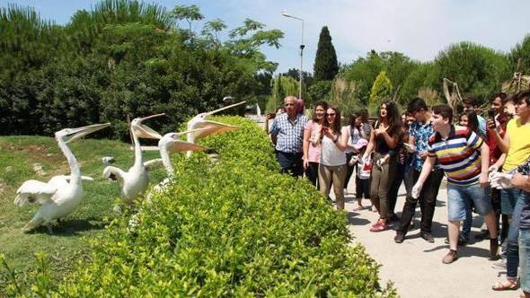 <p>Daha egzotikler, farklılar. Ürkütücü göründüklerine aldanmayın. İlginç geliyor bana. İki timsah var. Sanırım buradaki en tehlikeli hayvanlar timsahlar. Hareketsiz gibi görünüyorlar ama aniden çok hızlı hareket edebiliyorlar" diye konuştu.</p>
<p> </p>
