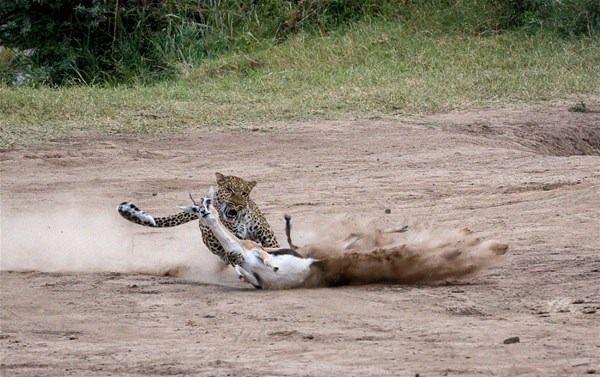 <p>Bu fotoğraflar Kenya'da 52 yaşındaki fotoğrafçı Jeffrey Wu tarafından çekildi.</p>
