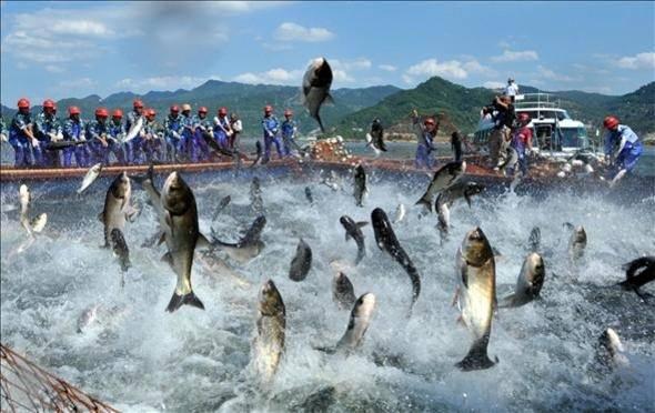 <p>Açıklanan ölçülerden küçük balıklara yakalayanlara ise 1380 sayılı Su Ürünleri Kanuna aykırı davrandıkları için ceza kesiliyor. Yakalanan balıklara ise el konuluyor.</p>

<p> </p>
