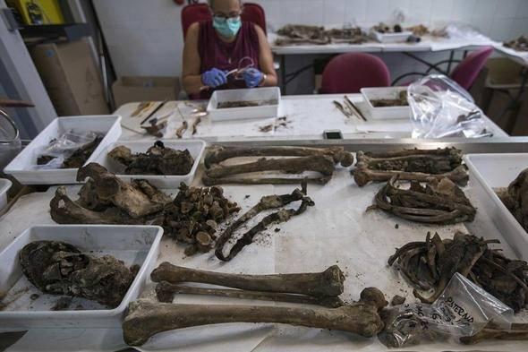 <p>"Bunu yapmayı istiyoruz &ccedil;&uuml;nk&uuml; &uuml;lkemizde tarihi hafıza a&ccedil;ısından yapılacak &ccedil;ok şey olduğunu d&uuml;ş&uuml;n&uuml;yoruz. Kendimizi karşılaştırmayı sevdiğimiz uluslararası alanda 40 yıldır b&ouml;ylesine bir durumu s&uuml;rd&uuml;ren tek bir demokrasi yok. Demokrasi ve Franco'nun anısına yapılan bir mezar birbiriyle bağdaşmıyor"</p>
