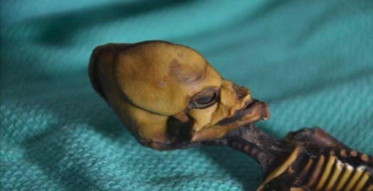 <p>İspanyol bir koleksiyoncu tarafından satın alınarak ortaya &ccedil;ıkarılan mumya ile ilgili daha &ouml;nce Sirius isimli bir belgesel &ccedil;ekilmiş, &ccedil;eşitli komplo teorilerinin yanı sıra bulunan iskeletin uzaylıların varlığına kanıt olabileceği &ouml;ne s&uuml;r&uuml;lm&uuml;şt&uuml;.</p>
