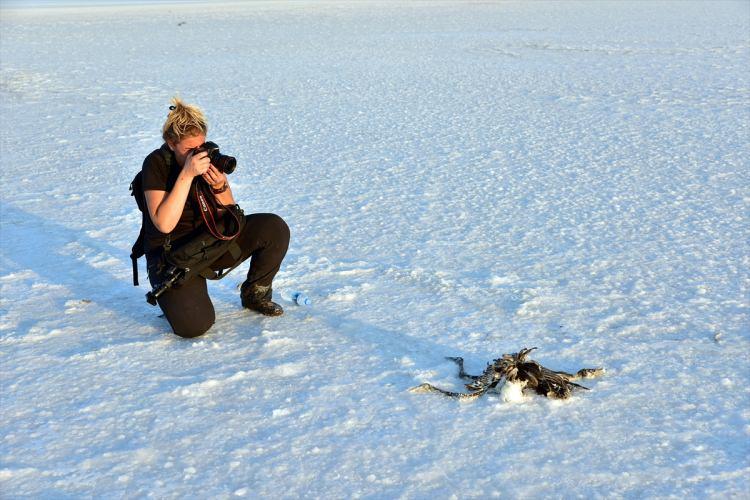 <p>Maalesef göl kurumuş durumda ve yavru flamingolar besin bulamadıkları için flamingo cenneti olan Tuz Gölü, bir flamingo mezarlığına dönüşmüş durumda" dedi.</p>