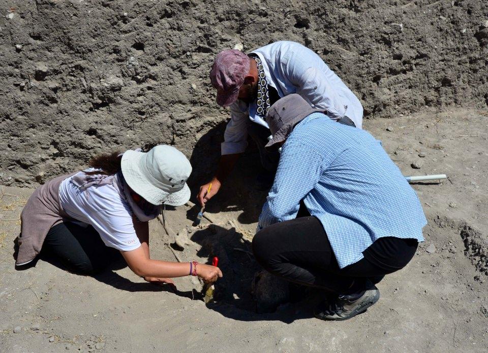 <p>Troya'da 2016-2017 yıllarında yaptıkları kazılarda üst katmanlarda bir Doğu Roma Mezarlığı keşfettiklerini kaydeden  Aslan, "Bu mezarlığın altında da Helenistik ve son Tunç Çağı'na doğru giden kalıntılar karşımıza çıkmıştı. Bu yıl da Doğu Roma Mezarlığı'nın devamını bulduk ve bu mezarlığın araştırılması sonrasında da alt katmanlara ve son Tunç Çağı katmanlarına gideceğiz." bilgisini verdi.</p>

<p> </p>
