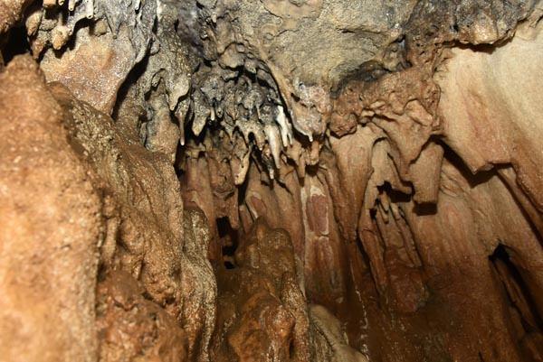 <p>Arılı köyü muhtarı Süleyman Olgun, bilinen boyu 70 metre olan mağarada 18 oda olduğunu, girilmeyen odalarla birlikte bu sayının 40 olduğunun rivayet edildiğini belirterek, “Burasının Cenevizlerin sarayı olduğu ve 500 metre uzakta bulunan Kartalkaya’da ki Ceneviz kalesine bağlantısı olduğu söyleniyor. Bir diğer efsanede de mağaraya bırakılan horozun köyün üzerinde Kemertaş denilen bölgeden çıktığı söylenir. Ayrıca Rum Gosti’nin mağaranın içindeki su akıntısına kül döktüğü ve bu küllü suyun bahçesinden çıktığı da anlatılır. Rus işgali sırasında Sadi Selçuk’a yardım eden meşhur Gosti. Sadi Selçuk Karagöllerde ki askere şifre götürürken Ruslar tarafından yakalandı ve bizim köyde hapis ettiler. Köyümüzde yaşayan Gosti’nin yardımıyla kaçtı ve bu mağarada saklandı. Böylelikle Sadi Selçuk’un hayatını kurtarmış oldu” dedi.</p>
<p> </p>