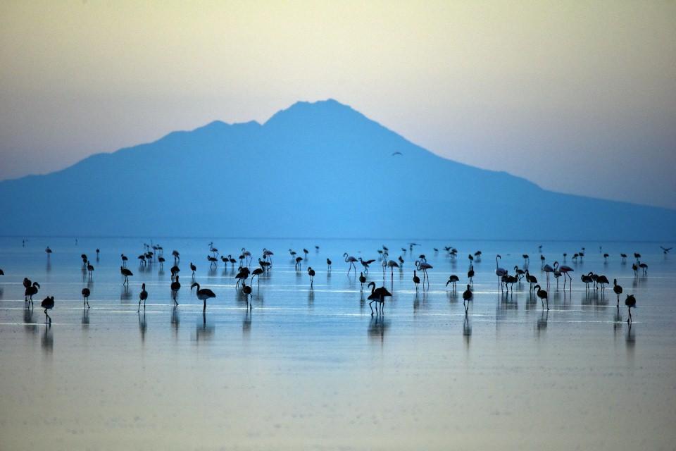 <p>Gölün son dönemde önemli turizm değerlerinden biri haline geldiğini belirten Doğan, "Kapadokya turlarının bir parçası haline gelen Tuz Gölü'nde yürüyüş, koşu, kuş gözlemi ve foto safari gibi farklı turizm aktiviteleri yapılabiliyor." diye konuştu.</p>
<p> </p>