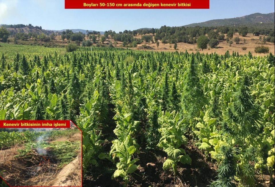 <p><strong>7 ton 271 kilogram esrar ele geçirildi</strong></p>
<p>Narko-terörizmle mücadele kapsamında yapılan aramalarda 669 bin 478 kök Hint keneviri, 149 kilo 650 gram kenevir tohumu ile 712 kilo 450 gram kubar, 6 ton 558 kilo 550 gram toz olmak üzere 7 ton 271 kilogram esrar ele geçirildi.</p>