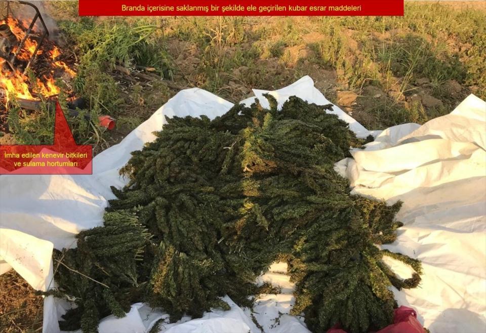 <p>Operasyonda, Lice'ye bağlı Yalaza Mahallesi kırsalında İl Emniyet Müdürlüğü ekipleriyle yapılan aramalarda, 401 AK-47 kalaşnikof fişeği, 698 M-16 fişeği, 4 şarjör ele geçirildi.</p>
<p> </p>