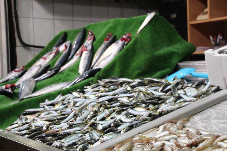 <p>Zonguldak Balık Pazarı'nda mezgidin ve istavritin kilosu 15 TL, hamsinin kilosu ise 10 TL'den satılıyor. Palamut ise tanesi 12,5 TL ile 15 TL arasında satışa sunuluyor. Balık&ccedil;ılar, av sezonu a&ccedil;ıldığından bu yana değişmeyen balık fiyatlarının pahalı olduğunu belirtti.</p>
