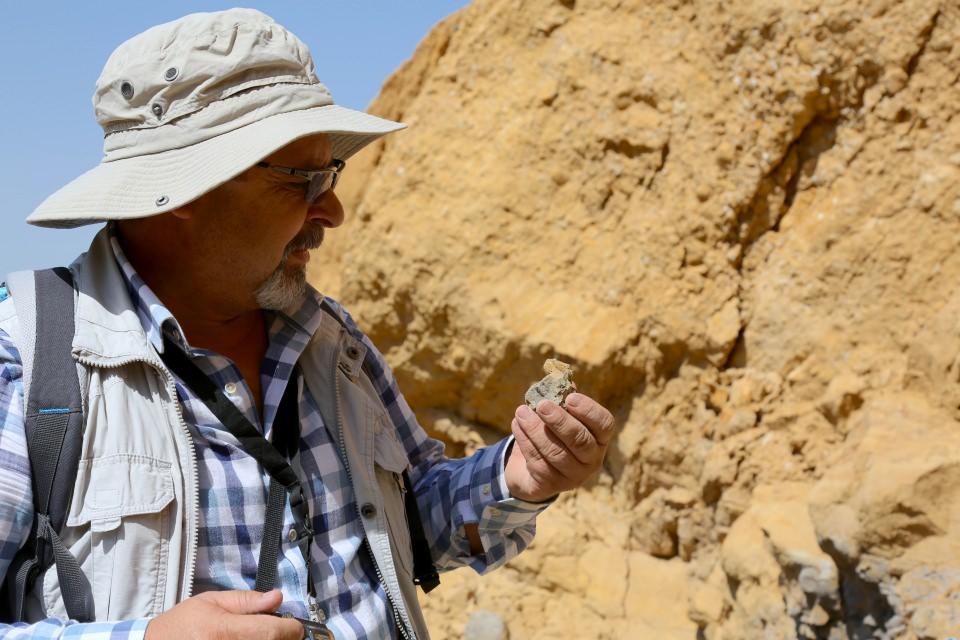 <p>Kehribar tespit edilen alanların üst katmanlarında, daha önce maddenin ne olduğunun belirlenmesine yönelik yaptıkları çalışmalar sırasında, eosen yaşını veren fosiller tespit ettiklerini aktaran Gündoğan, şu değerlendirmede bulundu:</p>

<p> </p>
