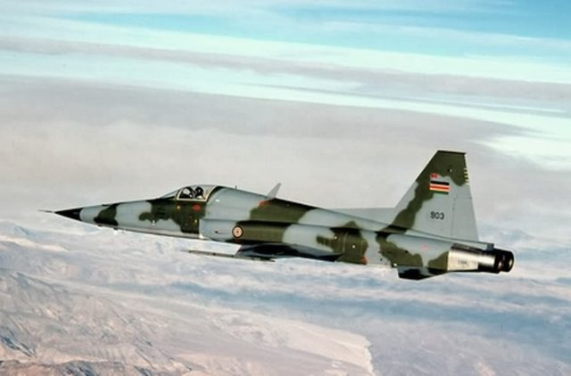 <p>KENYA - 17 SAVAŞ UÇAĞI</p>

<p>17 X F-5E </p>
