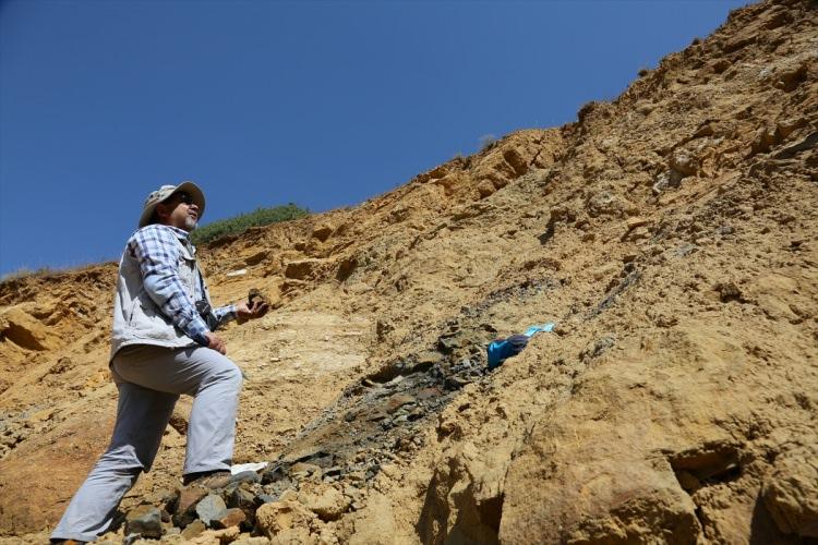 <p>Proje kabul edildiğinde, biraz daha bölgesel ölçekli, eosen yaşında bu katmanların arazide nerelere kadar uzandığına ilişkin çalışma yapacağız. Böylece bölgede kehribarın olabileceği zonlar ve olası potansiyelle ilgili daha somut veriler de elde etmiş olacağız." dedi.</p>
<p> </p>