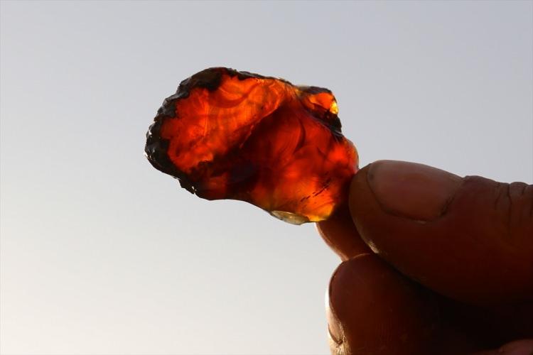 <p>Çıkarılan yaklaşık 25 metreküp malzemenin içinden 100 kilogram civarında kehribar toplandı. Bunların içinde birkaç milimetreden, 40-50 santimetreye kadar ulaşan büyük kehribar blokları var. İşletmenin zorlukları var tabi. Milimetrik boyutta çıkan yüzeyin arkasında daha büyük, daha modüler kehribar olabilir. Bunu önceden kestiremediğimiz için çok yavaş, sanki arkeolojik kazı yaparmışçasına hassasiyetle çalışmamız gerekiyor.</p>

<p> </p>
