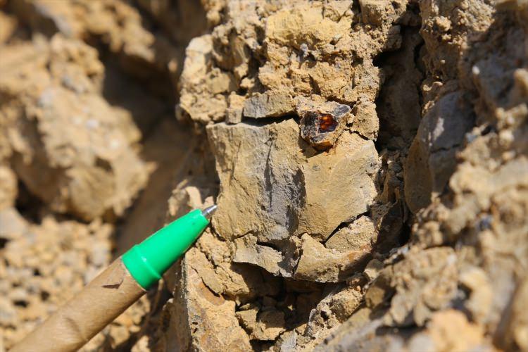 <p>Burada yeşil çamur taşları içinde kilometrelerce giden bir zon bu. O yüzden bütün bölgeyi düşündüğünüzde, ciddi anlamda bir potansiyel var." ifadelerini kullandı.</p>

<p> </p>
