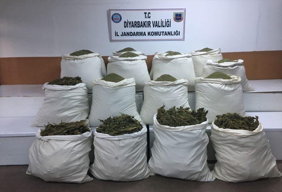 <p><strong>Sokağa çıkma yasağı kaldırıldı</strong></p>
<p>Öte yandan, operasyon nedeniyle Lice'ye bağlı Zümrüt, Gürbeyli, Kıpçak, Damar, Sığınak, Çıralı, Kıyıköy, Dibekköy, Budak, Dallıca, Yolçatı, Tepe, Türeli, Ortaç, Kabakaya, Kutlu, Yalaza, Çavundur, Bağlan, Dolunay, Oyuklu, Arıklı, Serince,</p>