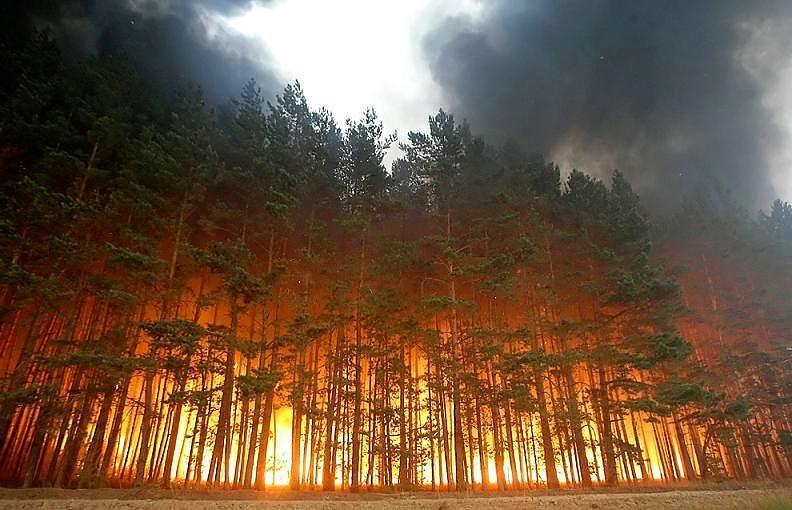 <p>Orman Yangını - RUSYA</p>

<p> </p>
