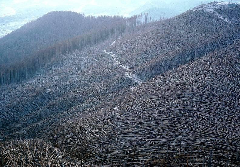 <p>St. Helens Volkanı: Washington Amerika, Yıl 1980</p>

<p> </p>
