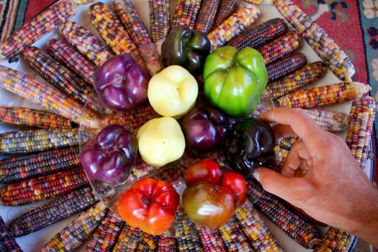 <p>Halis Katman, yurt dışında ve ülke içinde aldığı renkli tohumlarla sebze ve meyveleri renklendiriyor. </p>
