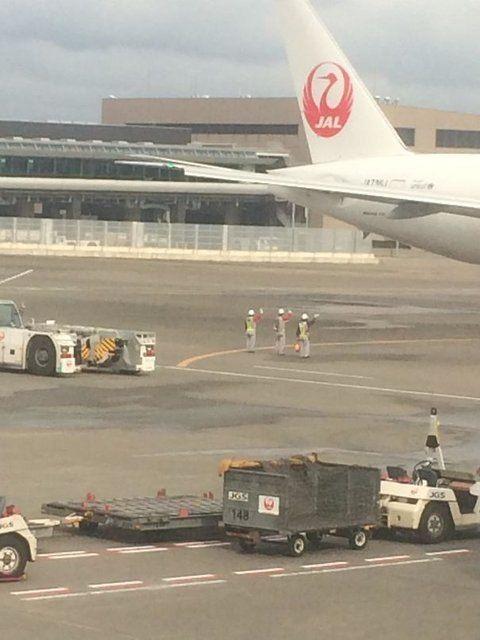 <p>Japonya'da uçaktakileri böyle yolculuyorlar.</p>
<p> </p>