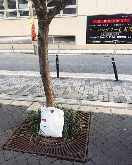 <p>Japonya'da yaşayan bir sosyal medya kullanıcısının paylaşımında "Alışveriş çantamı Osaka'da düşürdüm ve çantamı aramaya çıktığımda birisinin poşete dokunmadan ağacın altına bıraktığını gördüm" yazıyor. </p>

<p> </p>
