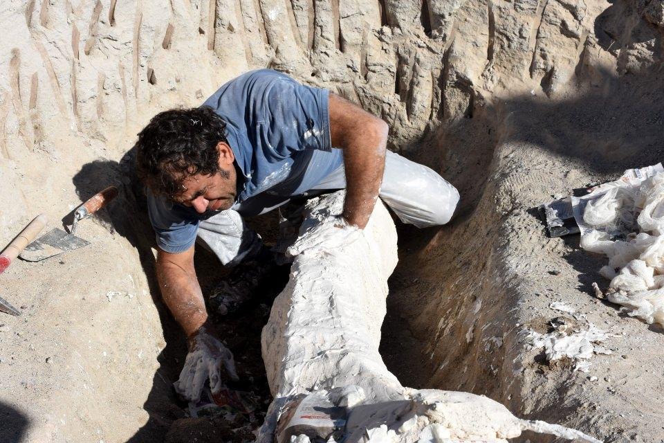 <p>Kayseri'de bulunan yaklaşık 7,5 milyon yıl öncesine ait filin alt çene ve kalça kemiği fosilleri, "alçı ceket" olarak tanımlanan özel yöntemle bilim merkezine taşındı.</p>
