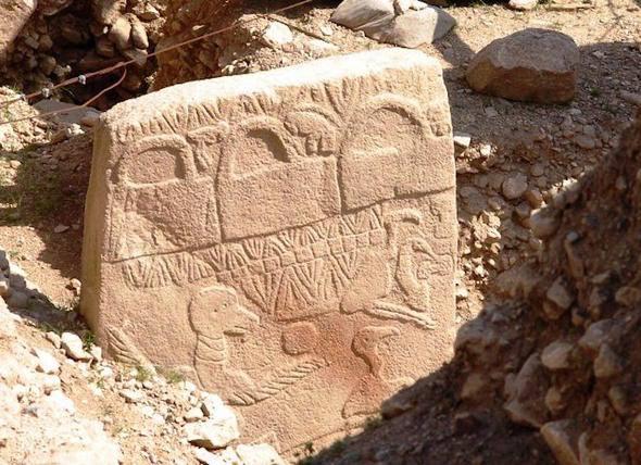 <p>Göbeklitepe'nin inşa edildiği dönemde insanoğlu bitki toplayan ve hayvanları avlayan küçük gruplar halinde sürekliliğini sağlıyordu. Kayalık bölgelerden, büyük sütunların ve ağır taşların el arabaları ve yük hayvanları olmadan 2 kilometre taşınarak Göbeklitepe'ye getirilmesi için muhtemelen tarihte insanların ilk defa bu kadar kalabalık bir şekilde bir arada olması gerekmişti.</p>
