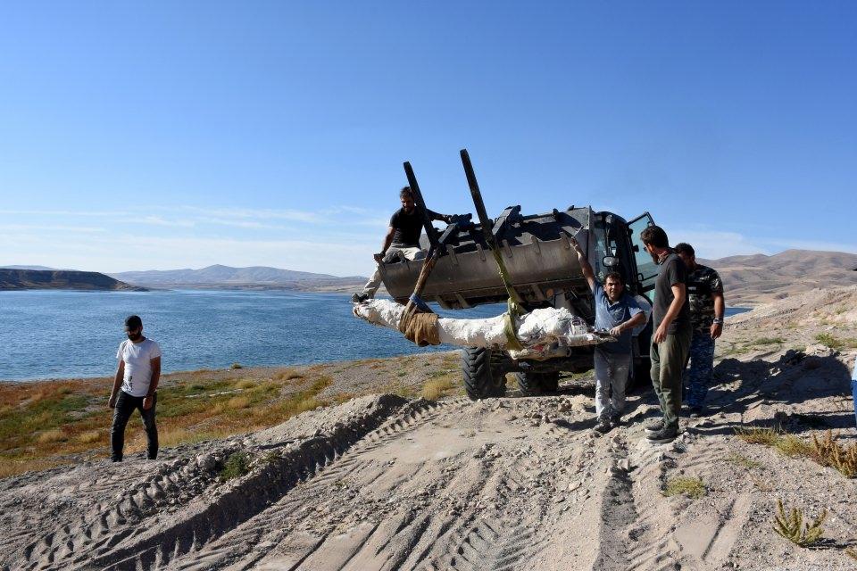 <p> Bu nedenle çok dikkatli ve titiz bir şekilde file ait alt çene ve kalça kemiği fosillerini naklettiklerini anlatan Pehlevan, "Bundan sonraki aşama laboratuvar aşamasıdır. Laboratuvar aşaması bittikten sonra fosillerin tanımlaması, detaylı araştırılması, incelenmesi ve yayın aşaması süreçleri izleyecek." dedi.</p>

<p> </p>
