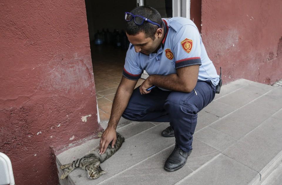 <p>İtfaiyeci olmak isteyen gençlere tavsiyede bulunan Özdemir, "Gençlere tavsiyem, kutsal bir görev, can ve mal güvenliği açısından can kurtarıyorsun ve yangınları söndürüyorsun genç arkadaşlarıma kutsal bir görev olduğunu tavsiye ederim." diye konuştu.</p>
<p> </p>