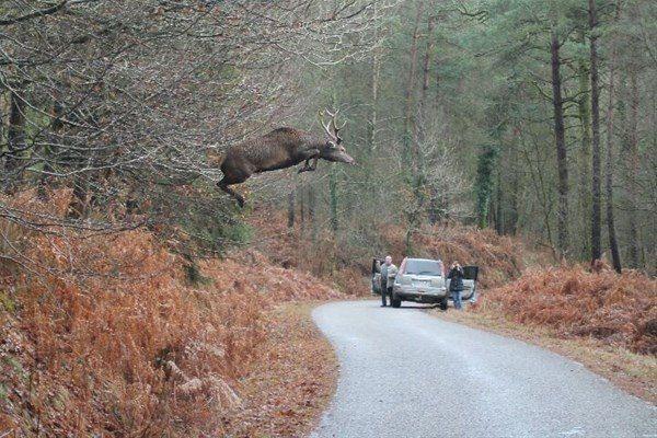 <p>İşte vahşi doğada eşine çok nadir rastlanan bir fotoğraflar...</p>

<p> </p>
