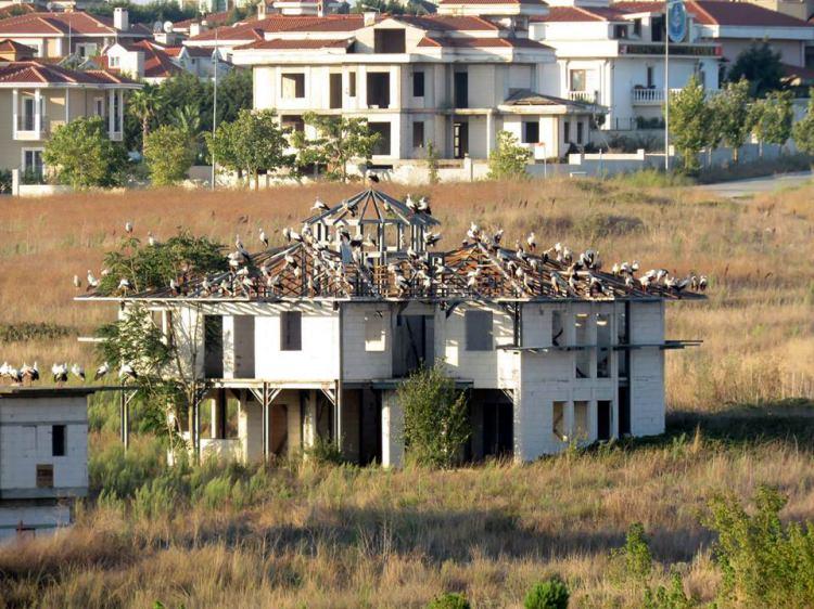 <p>Mart ayında Afrika'dan yola çıkarak, Hatay üzerinden İstanbul'a ulaşan ardından Avrupa ülkelerine dağılan leylekler, 120 günlük kuluçka dönemi ve yavrularının büyümesi ile ağustos başından itibaren Afrika'ya dönüşe geçiyor. Leyleklerin göç yolculuğunda kullandığı iki ana hat bulunuyor. Yaz döneminde Balkanlar ve Avrupa ülkelerine yayılan leylekler, Trakya'dan İstanbul'a, boğazı geçtikten sonra İzmit, Yalova, Bursa, Eskişehir, Konya, Mersin, Adana, Hatay ile Suriye, Lübnan, İsrail, Mısır, Nil Vadisi üzerinden Güney Afrika'ya ulaşıyor.</p>
<p> </p>