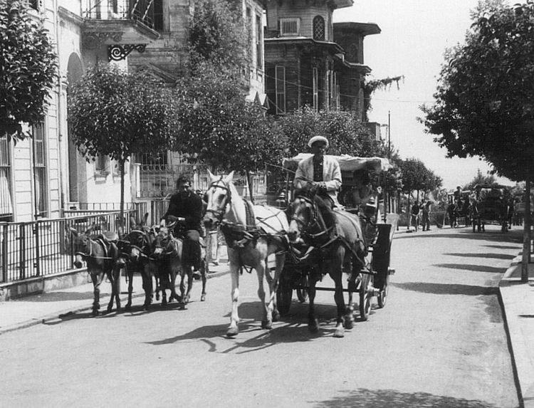 <p>1966 Büyükada</p>

<p> </p>
