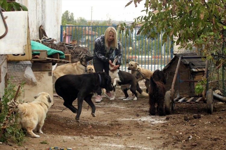 <p>Kırklareli'nde okla vurularak öldürülen Garip'in yavrularını sahiplenen Dilek Tunador, evinde baktığı sokak hayvanlarının yanı sıra sokaktaki sahipsiz yavru köpeklerin de gönüllü bakıcılığını yapıyor.</p>
