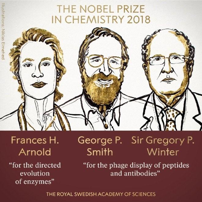 <p>NOBEL KİMYA ÖDÜLÜ 2018</p>
<p>Winter ABD'den çalışma sunan Frances H. Arnold, enzimlerin yönlendirilmiş evrimi için çalışmalarından dolayı ödül aldı. ABD ve İngiltere'den ortak çalışma sunan George P. Smith ve Sir Gregory P. Winter'in de peptitlerin ve antikorların faj gösterimi için yaptıkları çalışmalardan dolayı ödül aldıkları duyuruldu.</p>