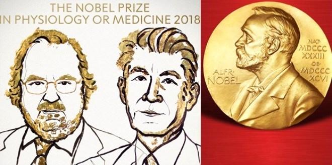 <p>NOBEL TIP ÖDÜLÜ 2018</p>
<p>Kanser tedavisinde geliştirdikleri yöntemler nedeniyle ABD'li bağışıklık sistemi uzmanı James Allison ve aynı alanda çalışan Japon bilim adamı Tasuku Honjo'ya verildi.</p>