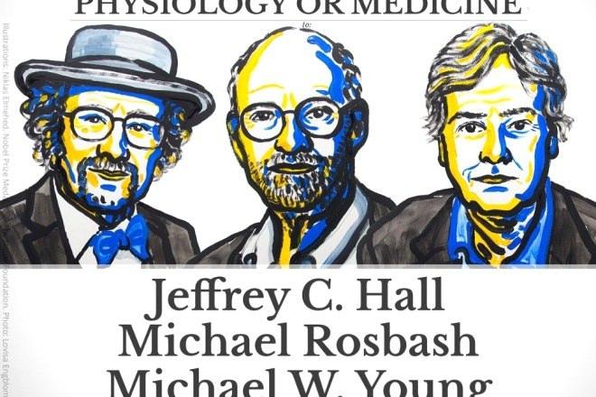 <p>NOBEL TIP ÖDÜLLERİ 2017</p>
<p>2017 Nobel Tıp Ödülü'nün sahipleri, ABD'li bilim insanları Jeffrey C. Hall, Michael Rosbash ve Michael W. Young oldu. Biyolojik saatimizi inceleyen ve iç yüzünü aydınlatan çalışmalarından dolayı ödüle layık görülmüşlerdi.</p>