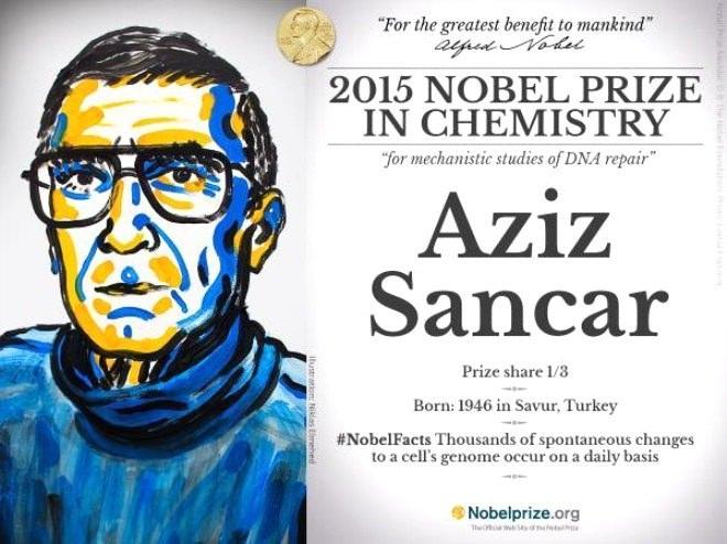 <p>NOBEL KİMYA ÖDÜLÜ 2015</p>
<p>Aziz Sancar hücrelerin hasar gören DNA'ları nasıl onardığını ve genetik bilgisini koruduğunu haritalandıran araştırmaları sayesinde 2015 Nobel Kimya Ödülü'nü kazanmıştır.</p>