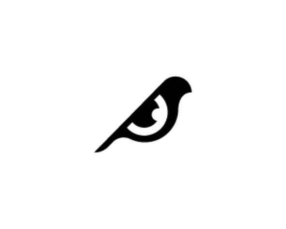 <p>Bird</p>
