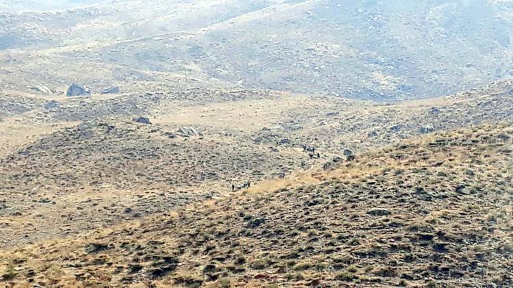 <p><strong>Teröristler kaçacak delik arıyor</strong></p>
<p>Her türlü hava ve arazi şartlarında görevlerini başarıyla yerine getiren komandolar, teröristlerin gizlendikleri ve barındıkları mağaraları bir bir imha ediyor.</p>