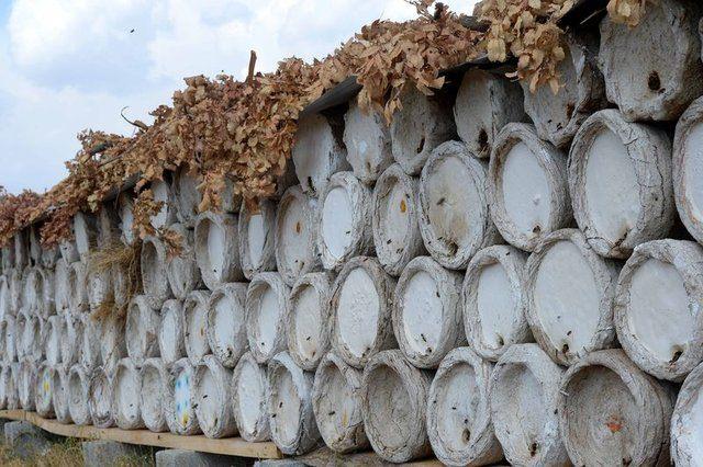 <p><strong>"BİN KOVANDAN 8 TON BAL HASAT EDİYORUZ"</strong></p>
<p>Türkiye'de karakovan sayısının en fazla olduğu ilçede bal üreticileri, hasat için sabahın erken saatlerinde yaylaların yolunu tutuyor.</p>
