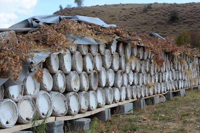 <p><strong>"KİLOSUNU 500 LİRADAN İHRAÇ EDİYORUZ"</strong></p>
<p>Hizan Bal Üreticileri Birliği Başkanı Seyithan Ekinci, AA muhabirine yaptığı açıklamada, karakovan balıyla tanınan ilçede yaklaşık 60 bin kovan bulunduğunu, bu rakamın Türkiye'deki kovan sayısının yüzde 39'una tekabül ettiğini söyledi.</p>