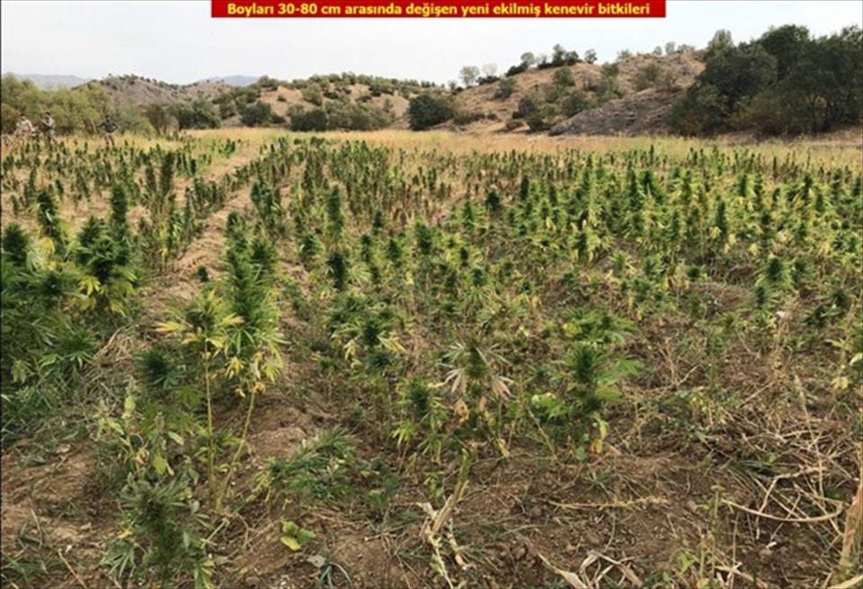 <p><strong>928 KİLOGRAM ESRARA EL KONULDU</strong></p>

<p>Silvan ilçesinde düzenlenen operasyonda da Demirkuyu Mahallesi Esenyol mezrası sınırlarında belirlenen el yapımı düzeneği yerinde imha edildi.</p>
