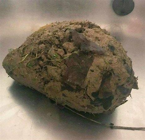 <p>Onu bulduklarında sıradan bir toprak parçası sandılar ama üzerindekiler temizlenince içinden bakın ne çıktı.</p>
<p> </p>