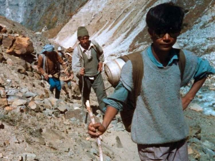 <p>Y&uuml;ksek irtifaya alışkın olmaları nedeniyle &ccedil;ok az oksijenle yetinebilmeleri, g&uuml;&ccedil;l&uuml; olmaları nedeniyle &ccedil;ok iyi y&uuml;k ta ve soğuğa dayanıklı olmaları sayesinde Everest'e &ccedil;ıkmak i&ccedil;in b&ouml;lgeye gelen t&uuml;m dağcılar i&ccedil;in yardımcı olarak g&ouml;ze &ccedil;arpıyorlar</p>
