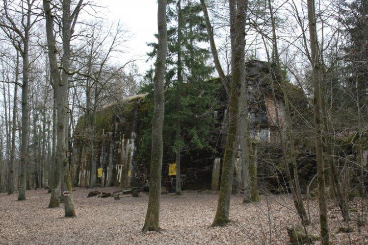 <p> Wolf’s Lair’in çevresindeki 54.000 kara mayınını temizlemeleri tam 10 yıl aldı.</p>